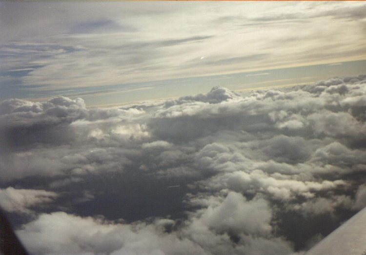 cielo